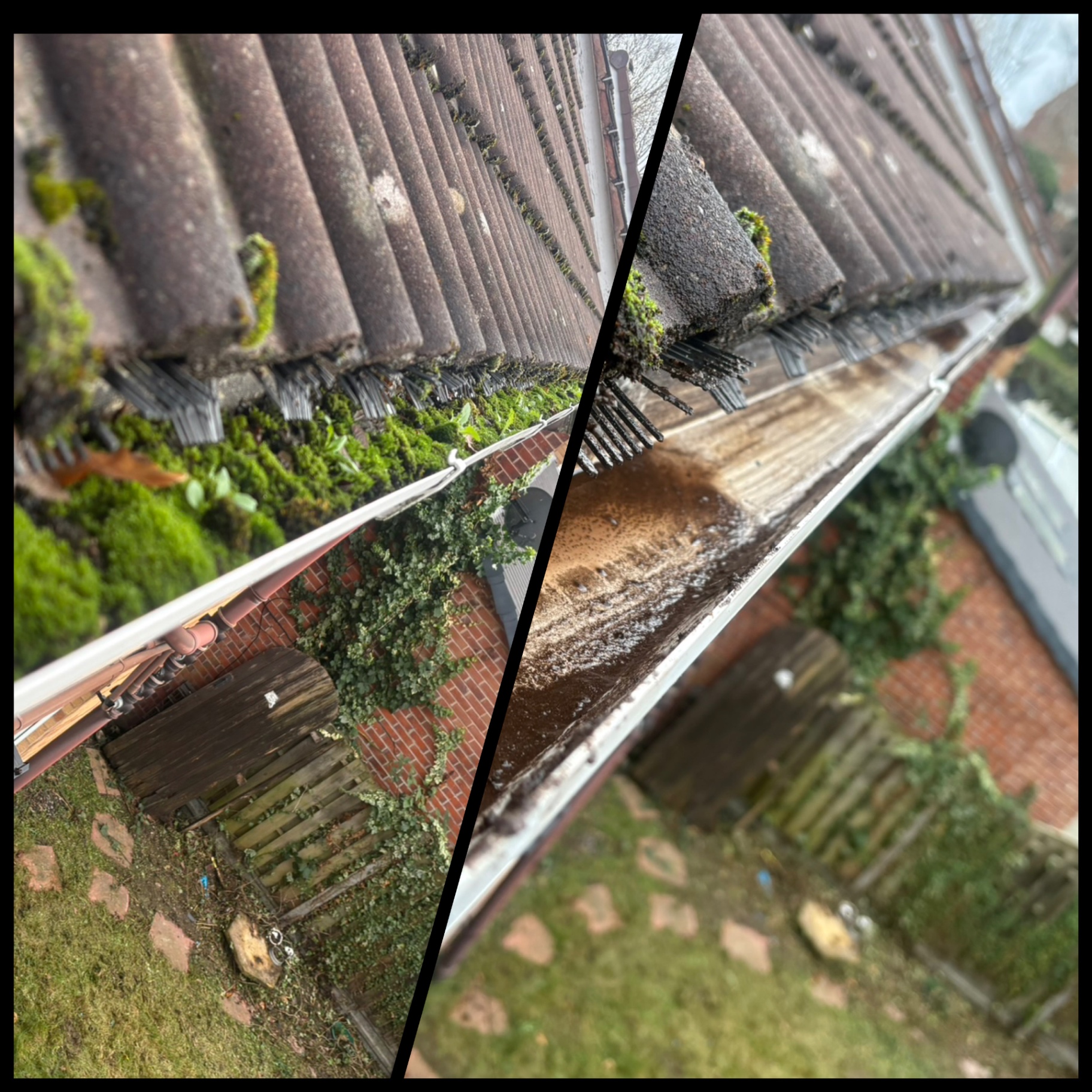 Gutter clearance — before and after moss removal