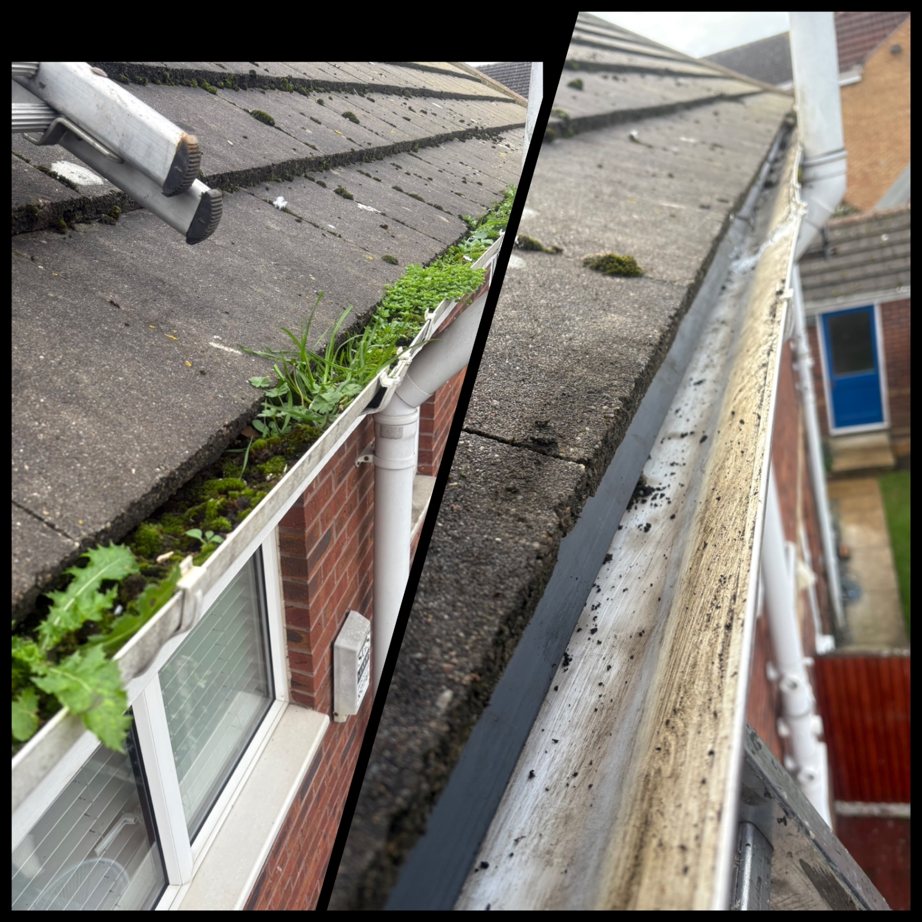 Gutter clean — weeds and moss cleared from guttering